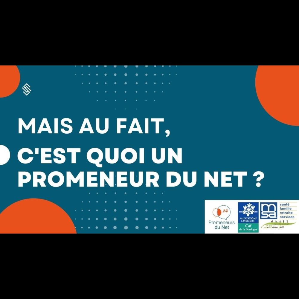 Un Promeneur du Net, ce n'est pas....