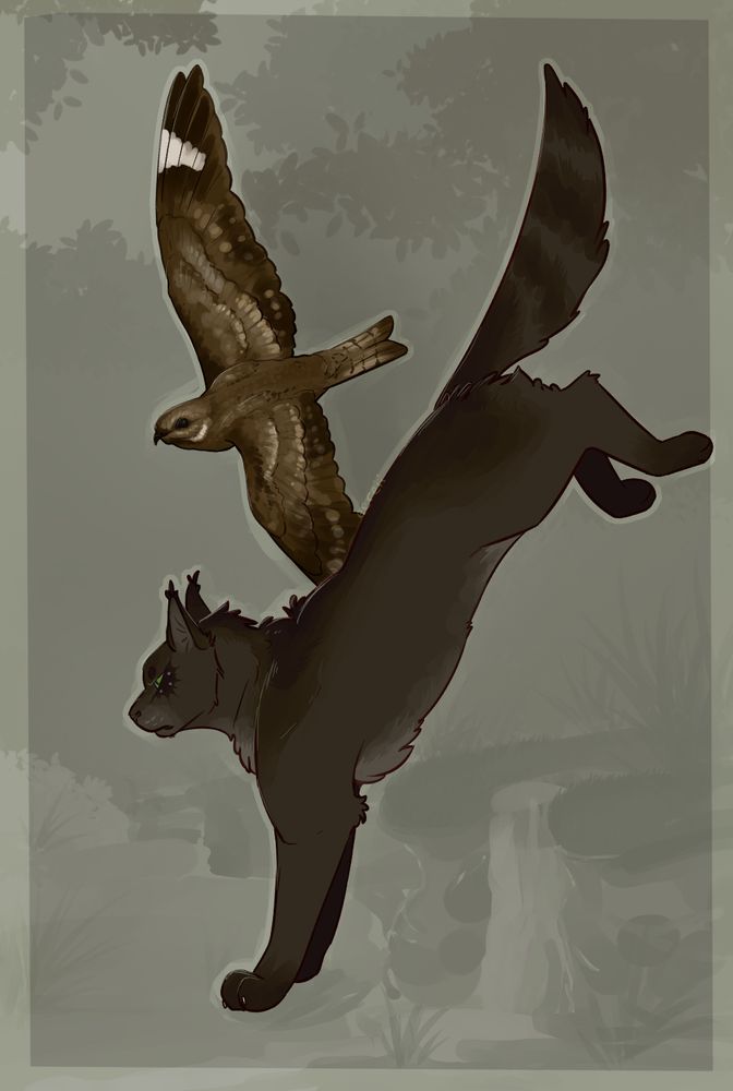 hollyleaf, a black warrior cat, jumps down wards with a lesser nighthawk bird flying beside her. 