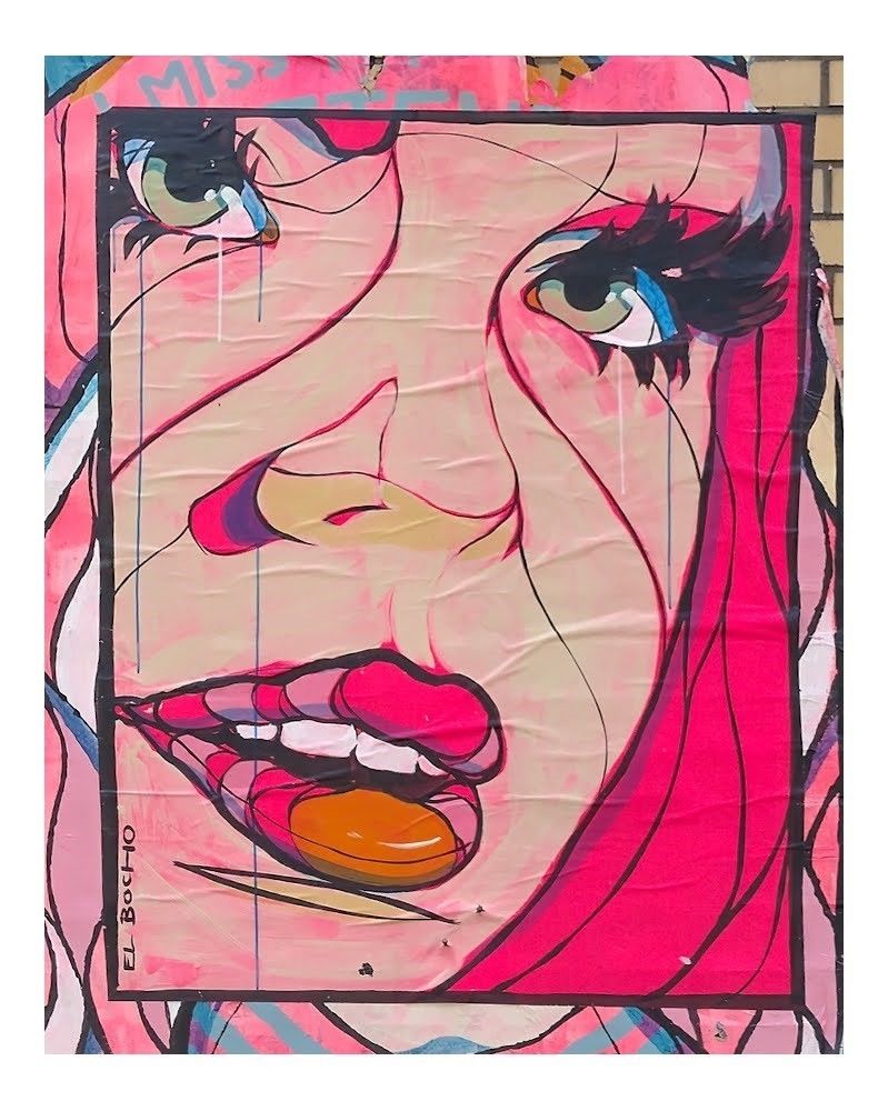 An abstract, colorful street art style poster features a woman's face. The face is a mix of pink, peach, and other vibrant colors, with heavy black outlines and streaks of white, giving it a bold and dramatic appearance. The text "EL BOCHO" is written in the bottom left corner.(Description generated using gemini-2.0-flash) - 