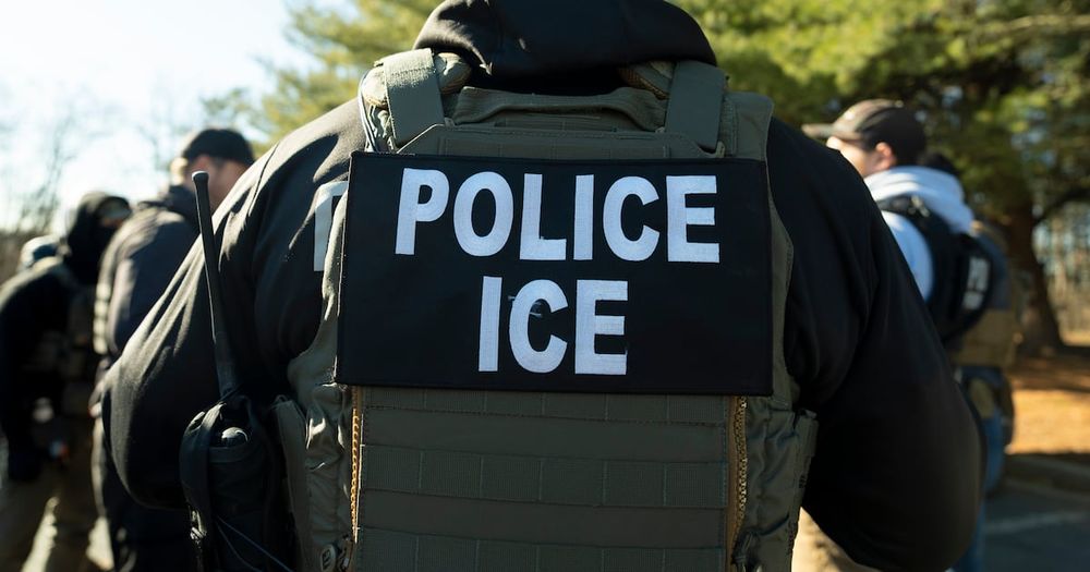 A veteran, married to a congressional candidate, was detained by ICE in Washington.