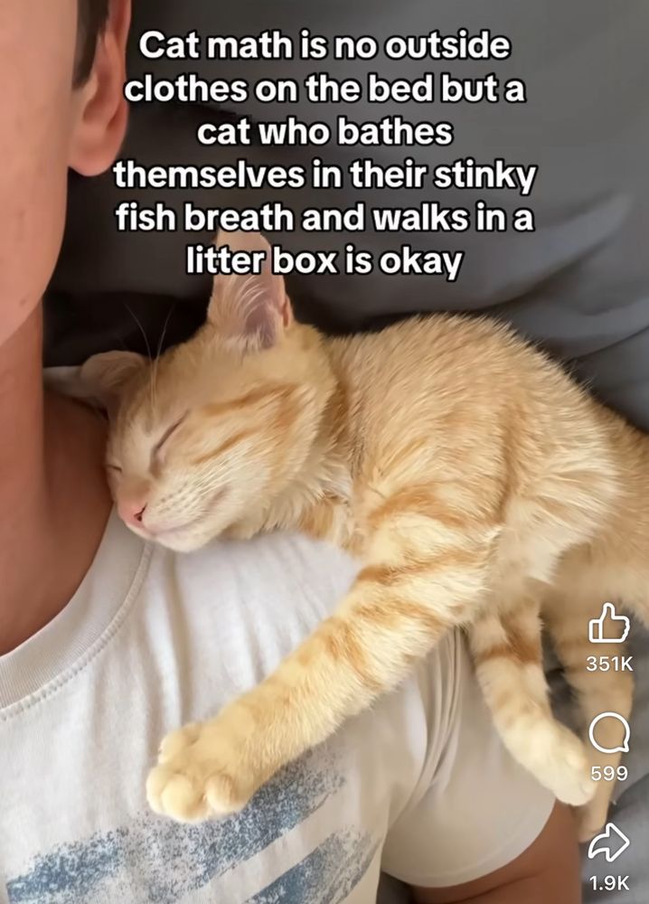 Cat math is no outside clothes on the bed but a cat who bathes themselves in their stinky fish breath and walks in a litter box is okay