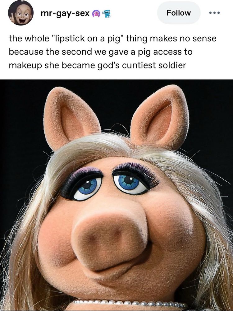 mr-gay-sex
Follow
•
the whole "lipstick on a pig" thing makes no sense because the second we gave a pig access to makeup she became god's cuntiest soldier

Photo of miss piggy
