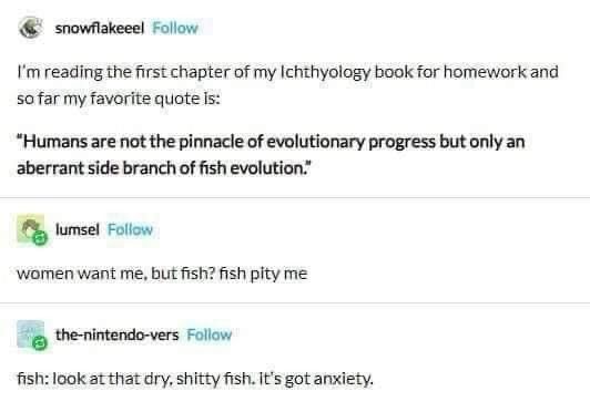 I'm reading the first chapter of my Ichthyology book for homework and so far my favorite quote is:

"Humans are not the pinnacle of evolutionary progress but only an aberrant side branch of fish evolution."

lumsel Follow

women want me, but fish? fish pity me

the-nintendo-vers Follow

fish: look at that dry, shitty fish. It's got anxiety