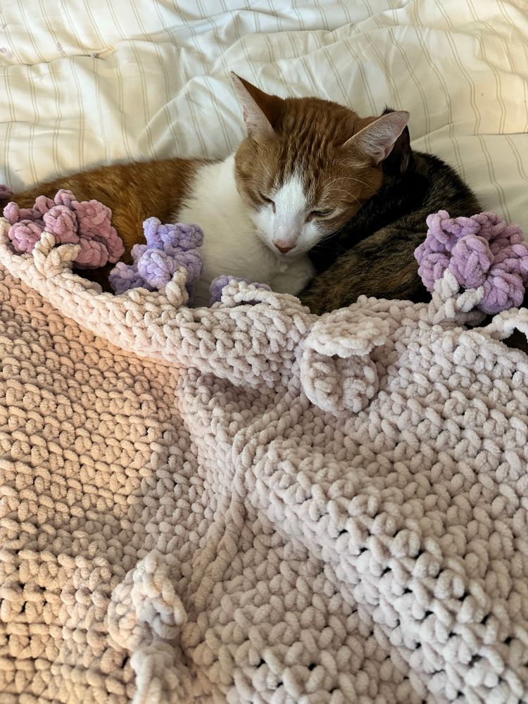 a closeup of an orange and a tortoiseshell cat cuddled together under the bouquet blanket. they look like they’ve tucked themselves into bed. 