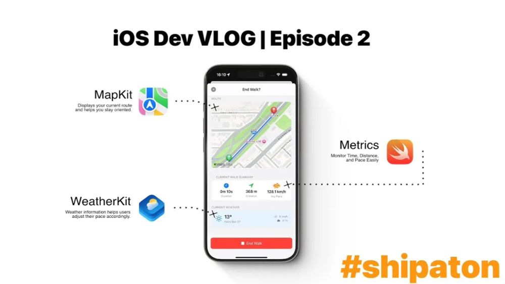 First YouTube Stats, Bug Battles & Community Connections | Week 2 #shipaton