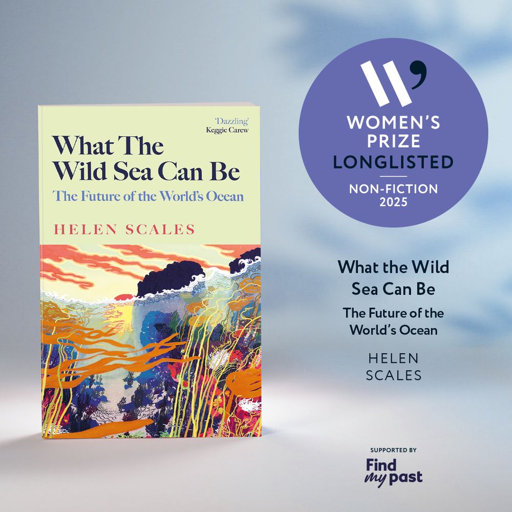 Graphic showing the cover of What The Wild Sea Can Be