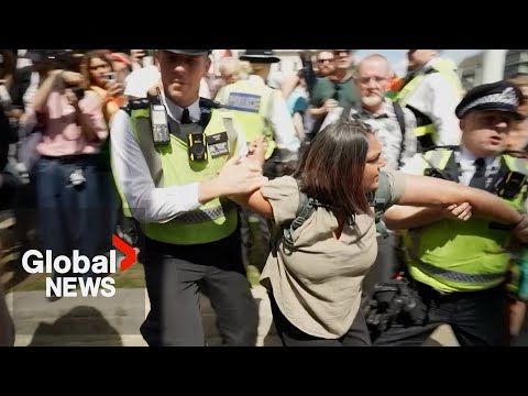 Hundreds arrested in London, worldwide protests demand Israel halt plans for Gaza siege