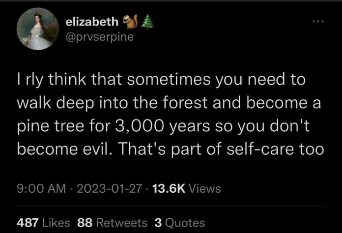 A text meme by elizabeth (@prvserpine): "I rly think that sometimes you need to walk deep into the forest and become a pine tree for 3,000 years so you don't become evil. That's part of self-care too"