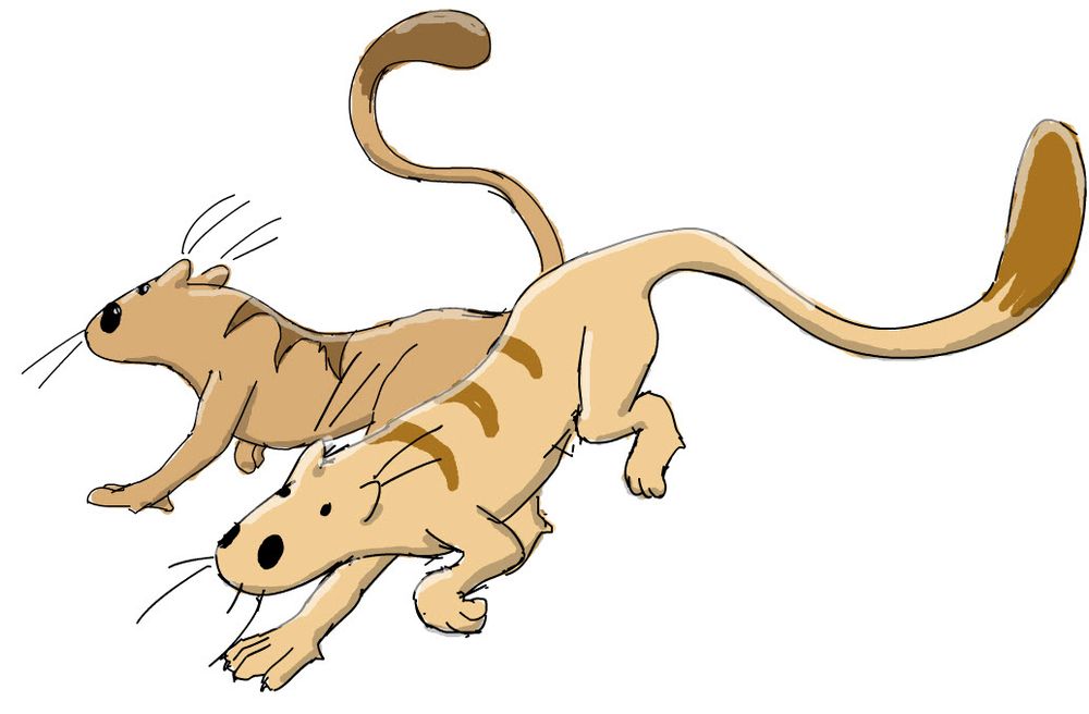 A color sketch of two-four legged animals with long tails.