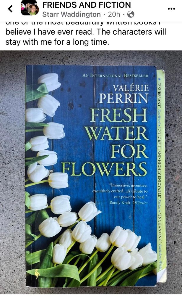 Fresh Water for Flowers by Valerie Perrin