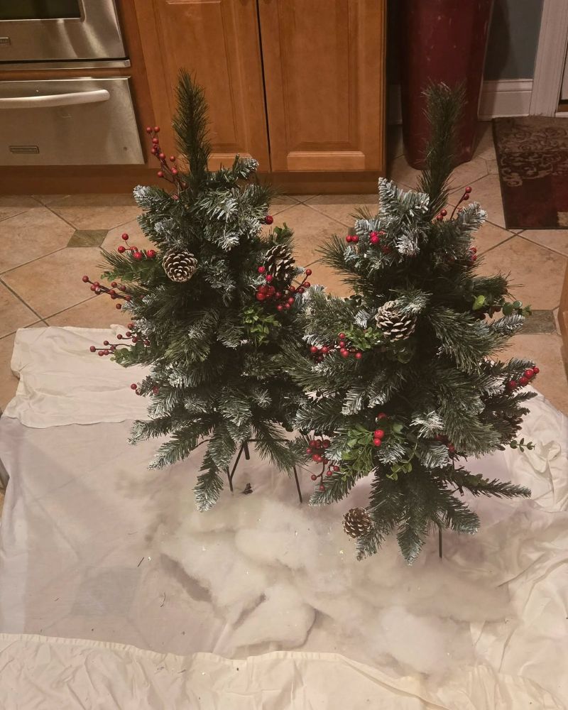 Two Mini Christmas trees sitting side by side in my kitchen, being prepared to be taken to it's display spot. 