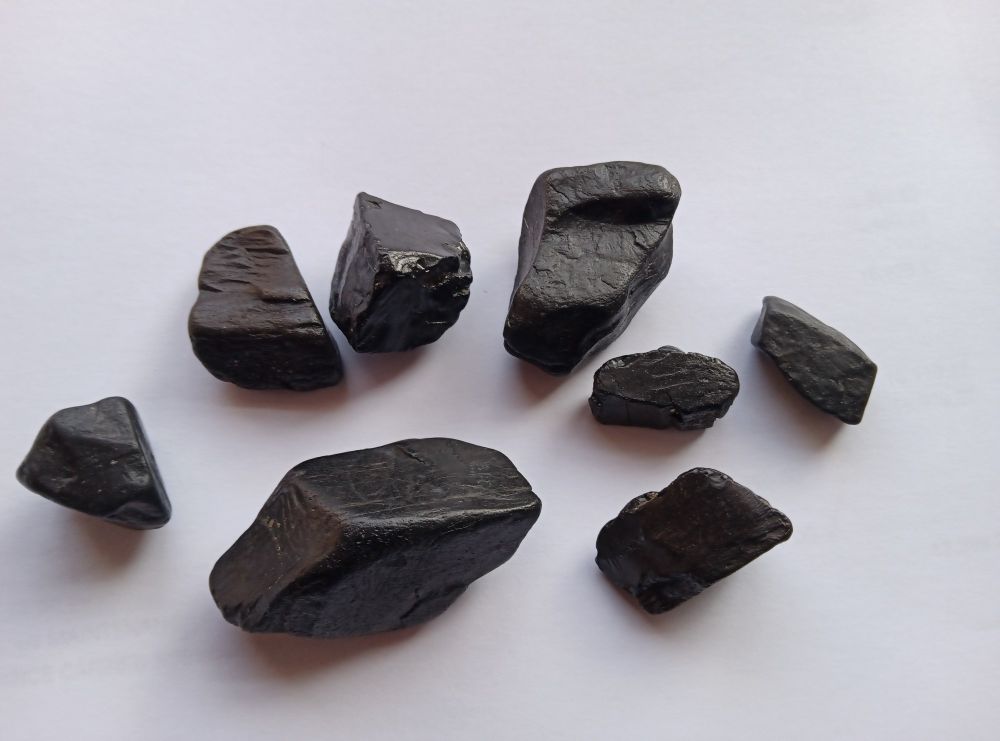 Some items of jet found among the dark stripes on the beach.