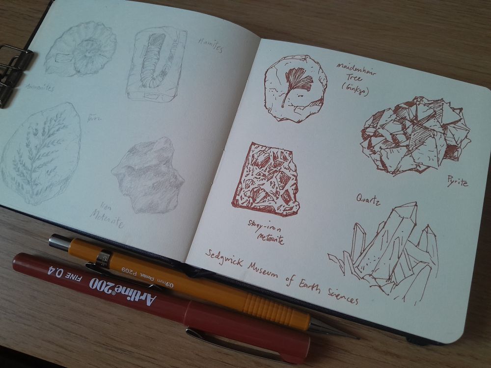 Open sketchbook with drawings of rocks, fossils, meteorites and crystals made with pen and pencil.