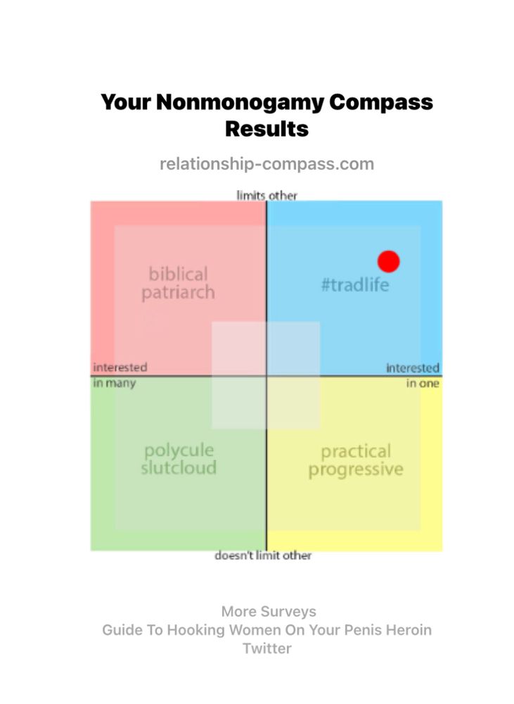 Nonmonogamy compass result. I’m traditional. 