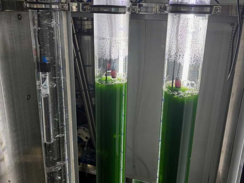 El projecte, en el qual hi participa activament el Laboratori d’Enginyeria Química i Ambiental (LEQUIA) de la Universitat de Girona (UdG) té cerca produir combustibles renovables a partir de microalgues, CO₂ i energia solar.