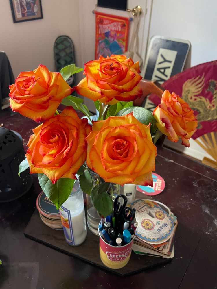 A close up of the roses seen in the previous picture, and these roses are in full bloom with yellow petals with pinkish orange edges.
