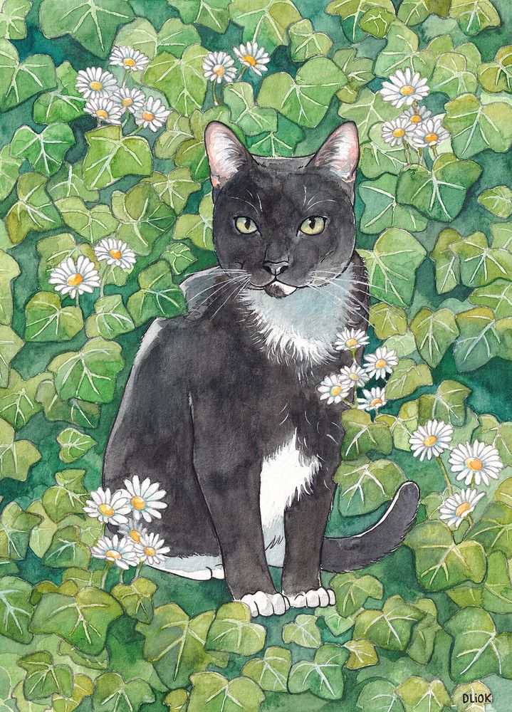 Illustration made with watercolors and ink. Jack the black cat is surrounded by vines and flowers