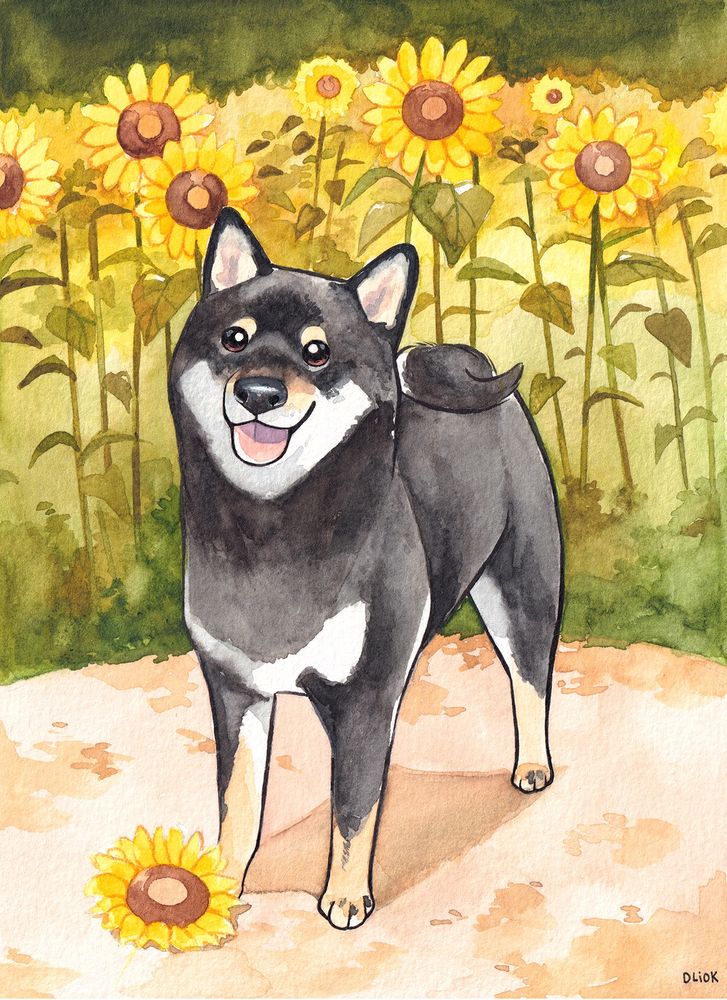 Breadstick commission, a black Shiba Inu with a sunflower field background