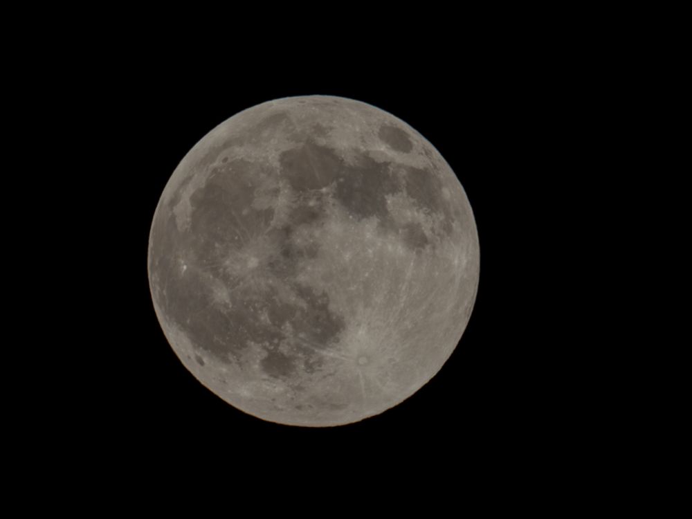 Harvest Moon