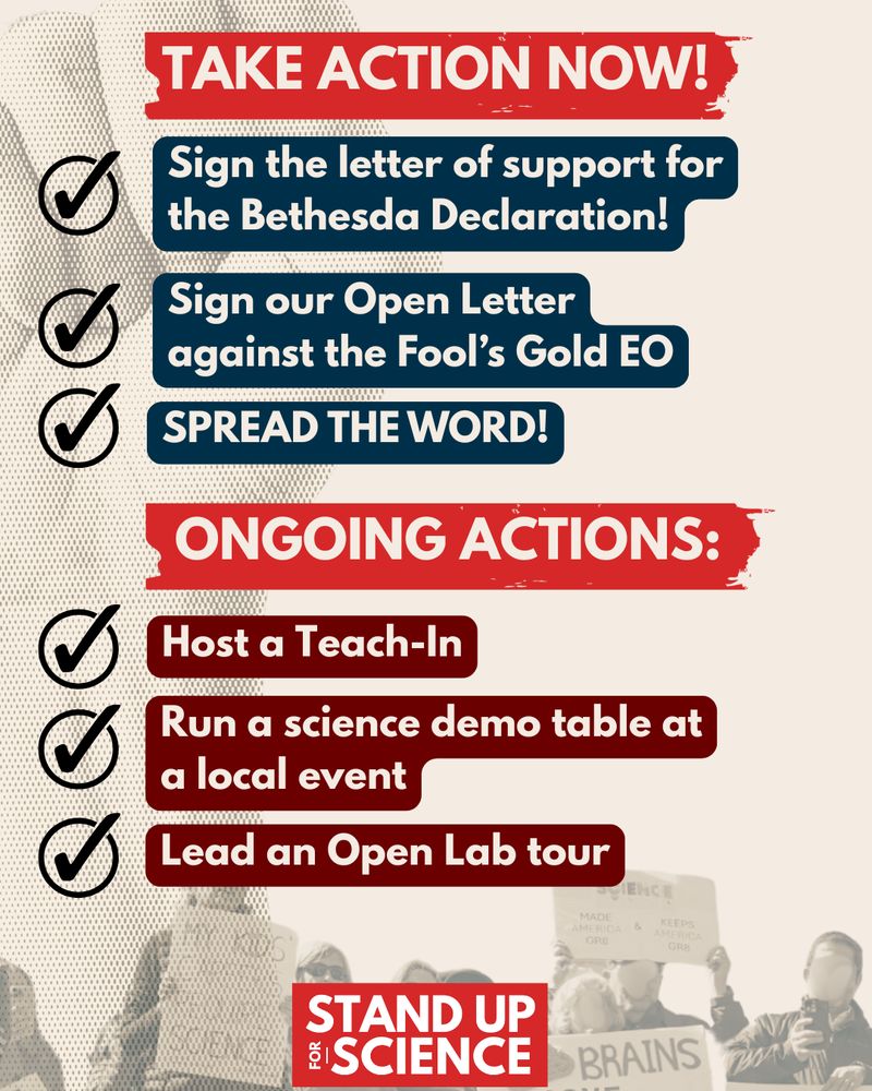 Infographic with bold red and navy headers reads “Take Action Now!” and “Ongoing Actions.” Lists include: Sign the Bethesda Declaration, sign the Open Letter against the Fool’s Gold EO, spread the word, host a teach-in, run a science demo table at a local event, and lead an open lab tour. Each item is accompanied by a checkmark. At the bottom, the red and white Stand Up for Science logo appears above a faded protest photo.