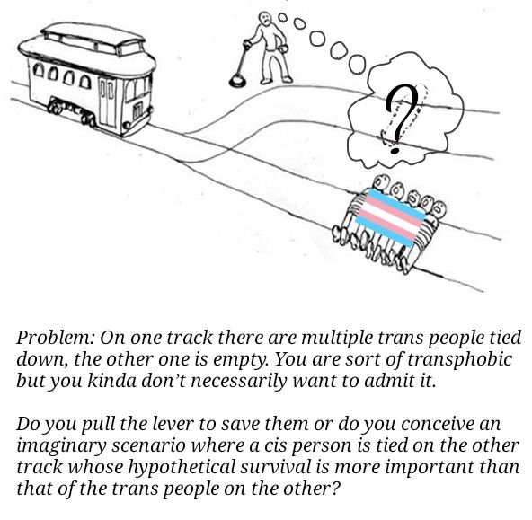 It' more or less the same trolley problem except the potentially harmed cis person is entirely imaginary.