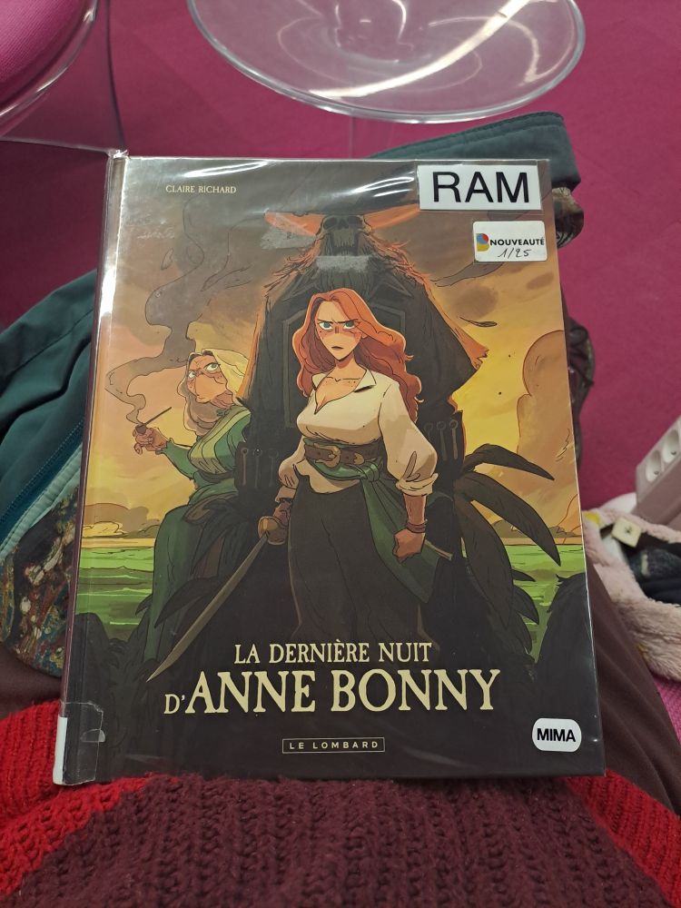 Photo de la bande dessinée La dernière nuit d'Anne Bonny sur mes genoux.
