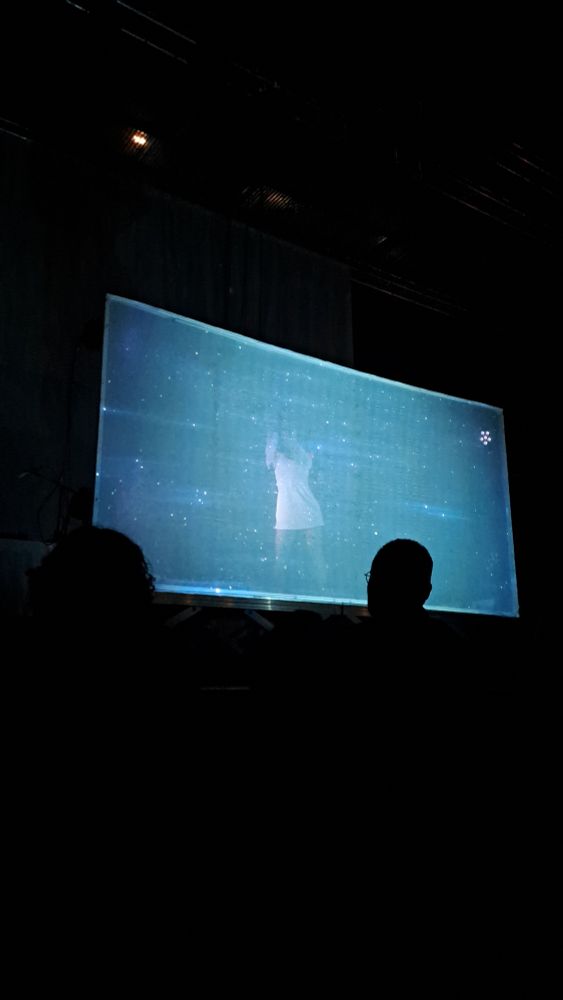 La chanteuse Vickie cherie sur scène, elle est derrière une toile sur laquelle il y a des projections.