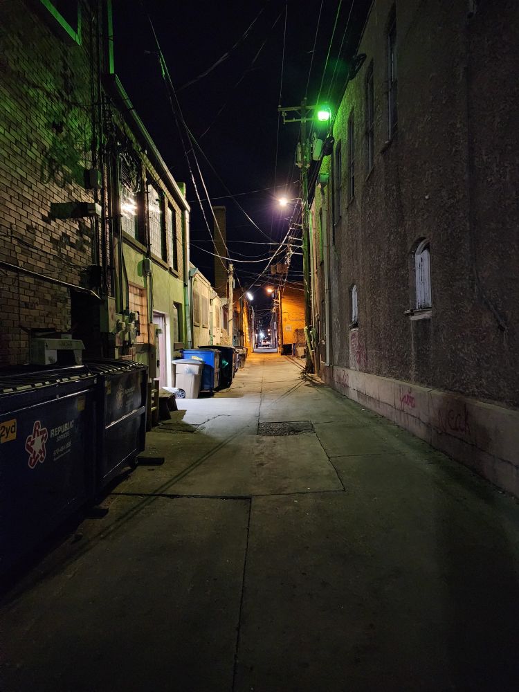 This was a picture I took because the alley way looked kinda cool.