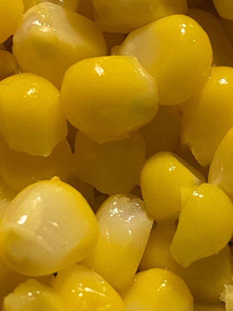 A close view of some delicious yellow corn niblets 
