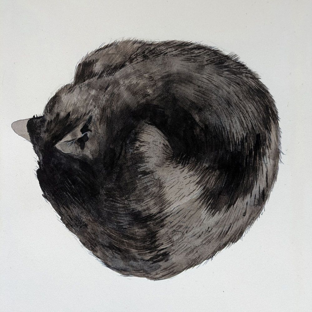 A watercolour painting of a black cat, asleep, curled up into an almost perfect circle