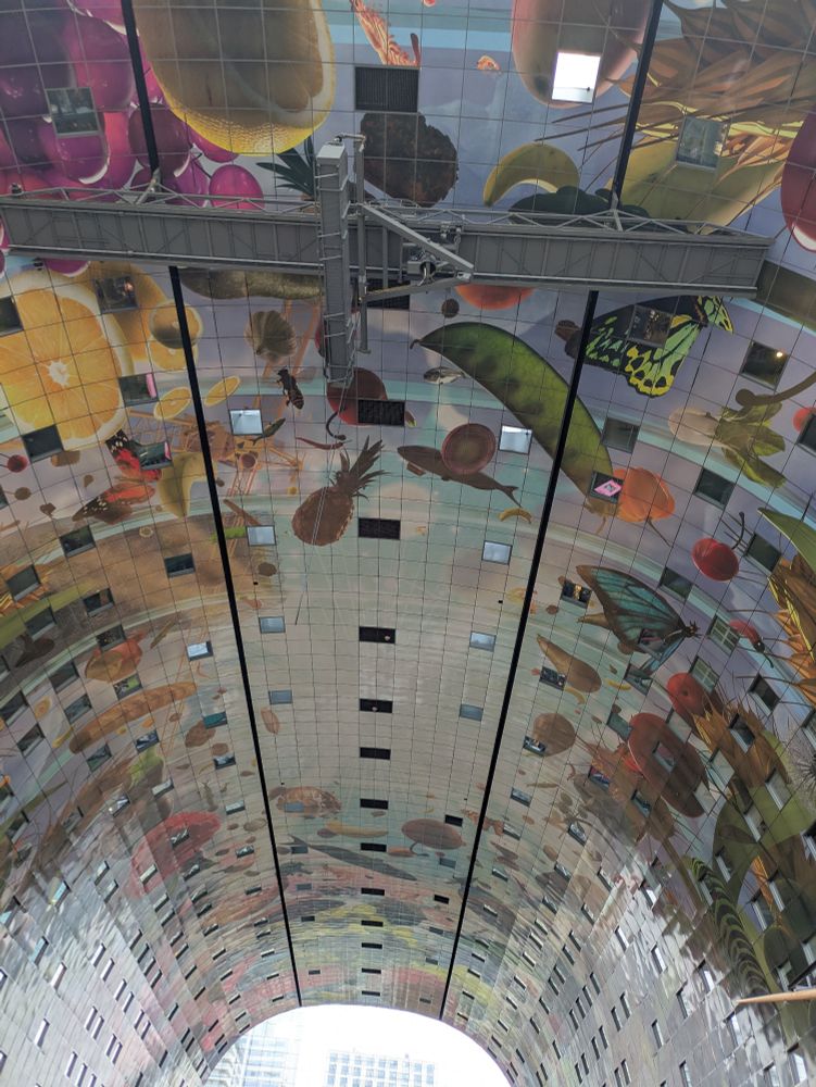 Markthalle Rotterdam von innen 