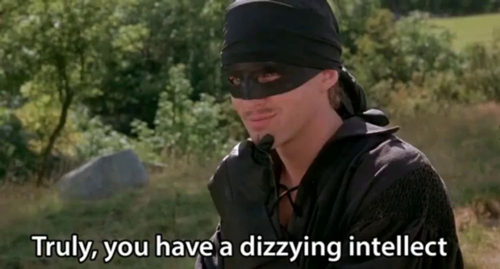 a man wearing a black mask says truly you have a dizzying intellect