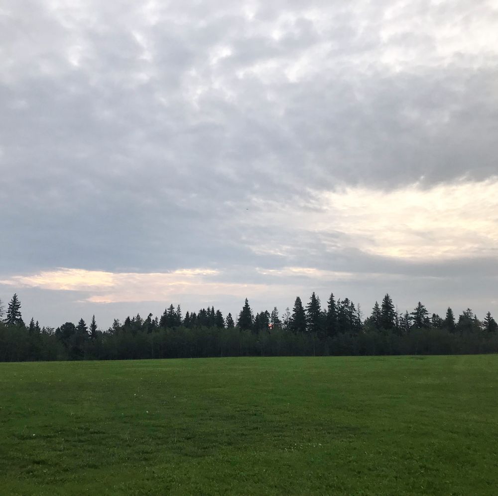 In the foreground, green grass. Along the horizon, the silhouettes of evergreens. Above them, swirling Gray and pink clouds.
