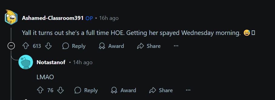 OP replies to their own post: yall it turns out she's a full time HOE. Getting her spayed Wednesday morning.