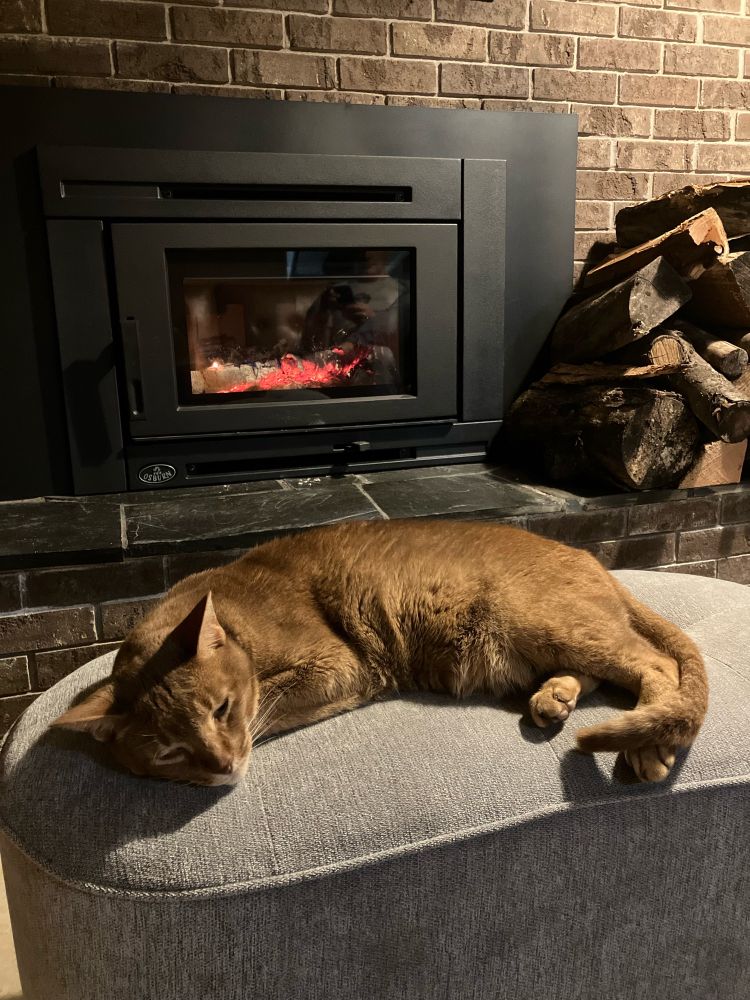 An orange-colored Abyssinian sleeping on a grey ottoman, in front of a brown brick fireplace with a low fire crackling behind the glass of a black metal fireplace insert. Firewood is in the background on the right.