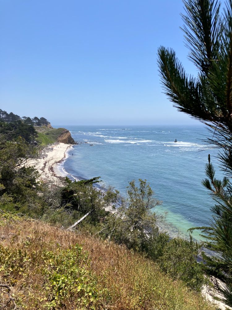 Shot from a high vantage point above the Pacific coast, water gleaming blue and white, with greenery in the foreground, white sandy beach, and a beautiful blue sky.
