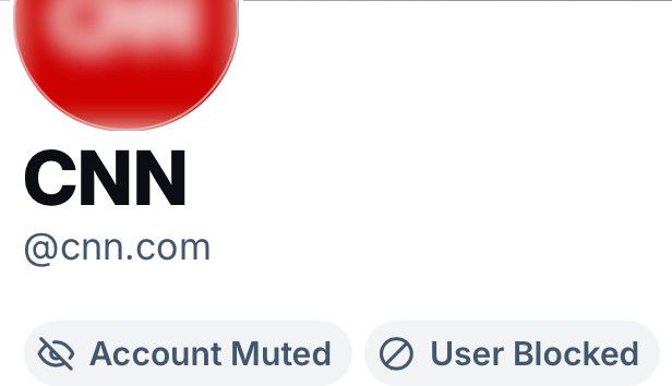 Screenshot of see-en-en bluesky account muted and blocked.