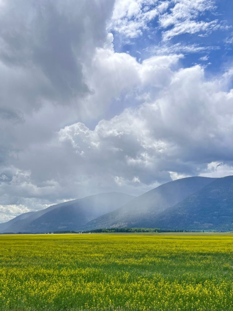 Post image (had no alt text on Bluesky)
