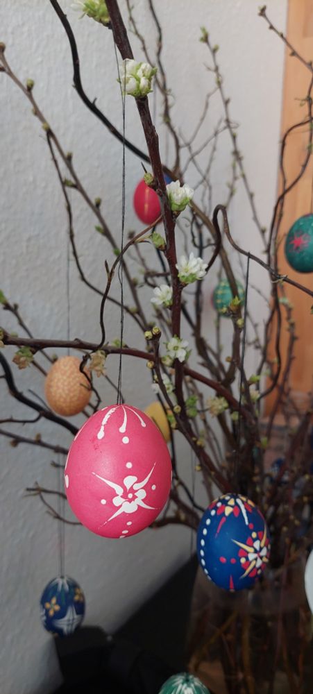 Bunte Ostereier, welche nach einfacher sorbischer Wachstechnik gestaltet sind, hängen an Kirsch- und Weidenästen. /Twigs of cherry tree and willow with colourful eggs in an easy Sorbian style hanging on them.
