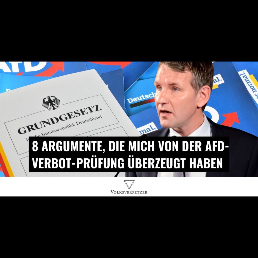 Du bist gegen die Prüfung eines AfD-Verbots? Das solltest du lesen