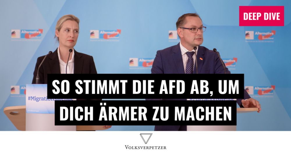 So stimmt die AfD im Bundestag ab, um dich ärmer zu machen