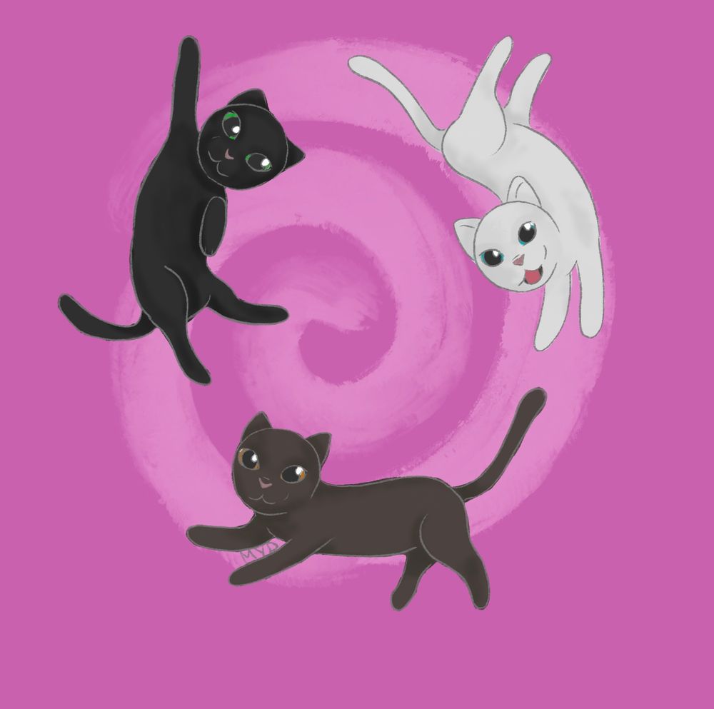 3 cats floating in a circle with a pink swirl on the background. One cat is black with green eyes, floating with one front paw up, the other cat is white with blue eyes and is floating upside down, turning his head to face us. The third cat is brown with orange eyes and is floating relaxed as if on water with its front paws stretched.