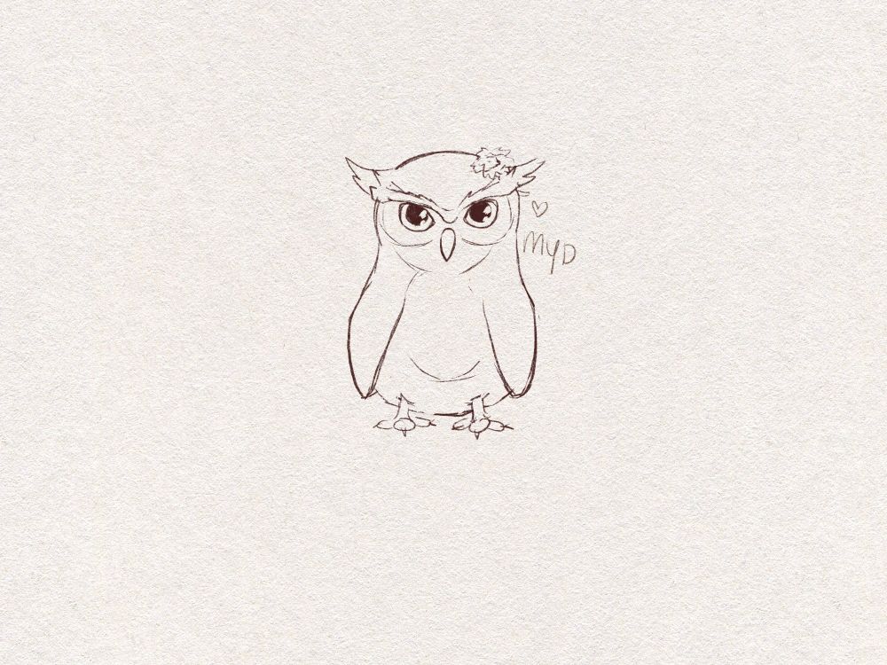 A simple sketch of a slightly grumpy looking owl with a dandelion in his feathers near his right ear
