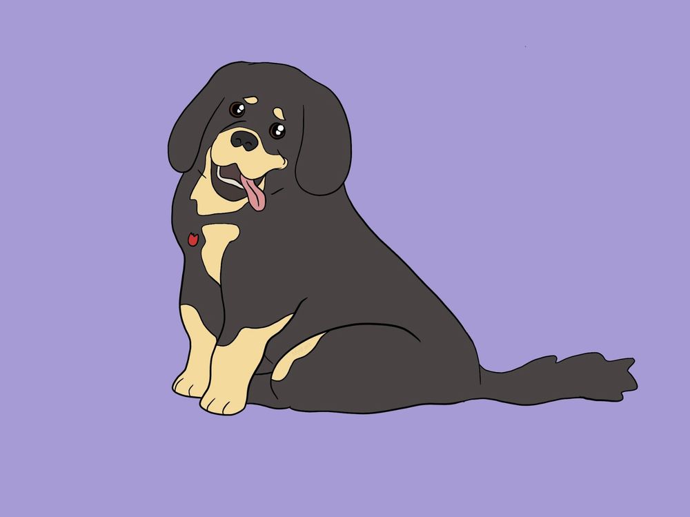 Simple line drawing of a tibetan mastiff, with a red tag on its collar
