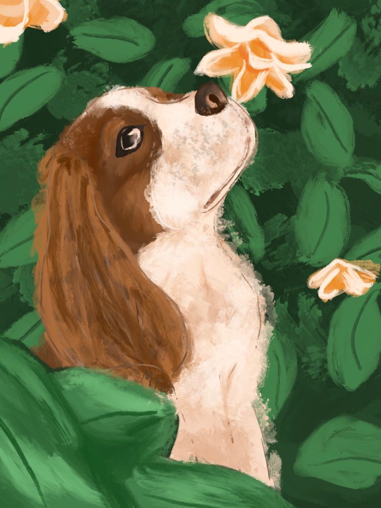 A painting of a dog. The dog is standing in a bush with white flowers that have orange insides. He is smelling a flower. The dog is a spaniel. He has a white snout and chest, and brown around his eyes and his ears and back. His ears are long and fluffy. 