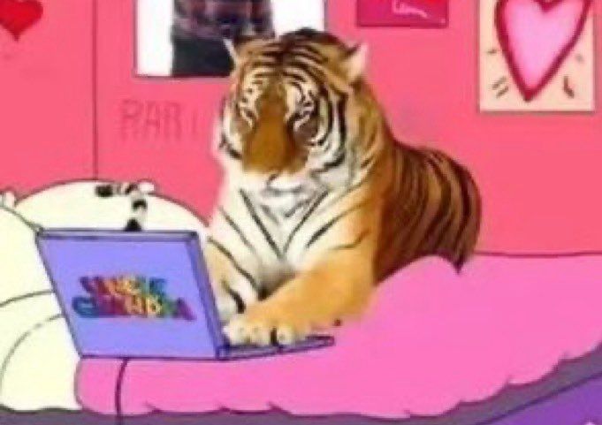 Tigresa de Titio avô mexendo em seu laptop roxo