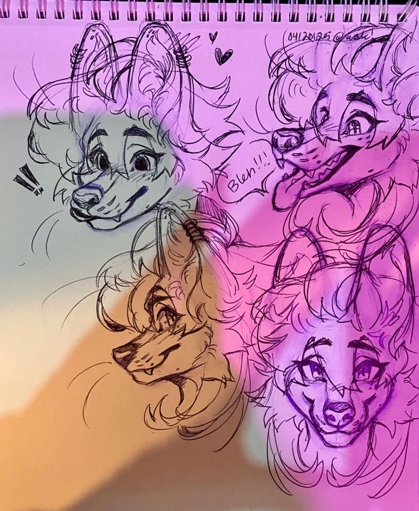 A practice sketchpage of headshots of Null’s Maned Wolf fursona! 