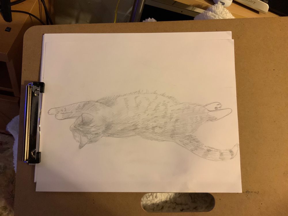 ripley drawing where she is all stretched out