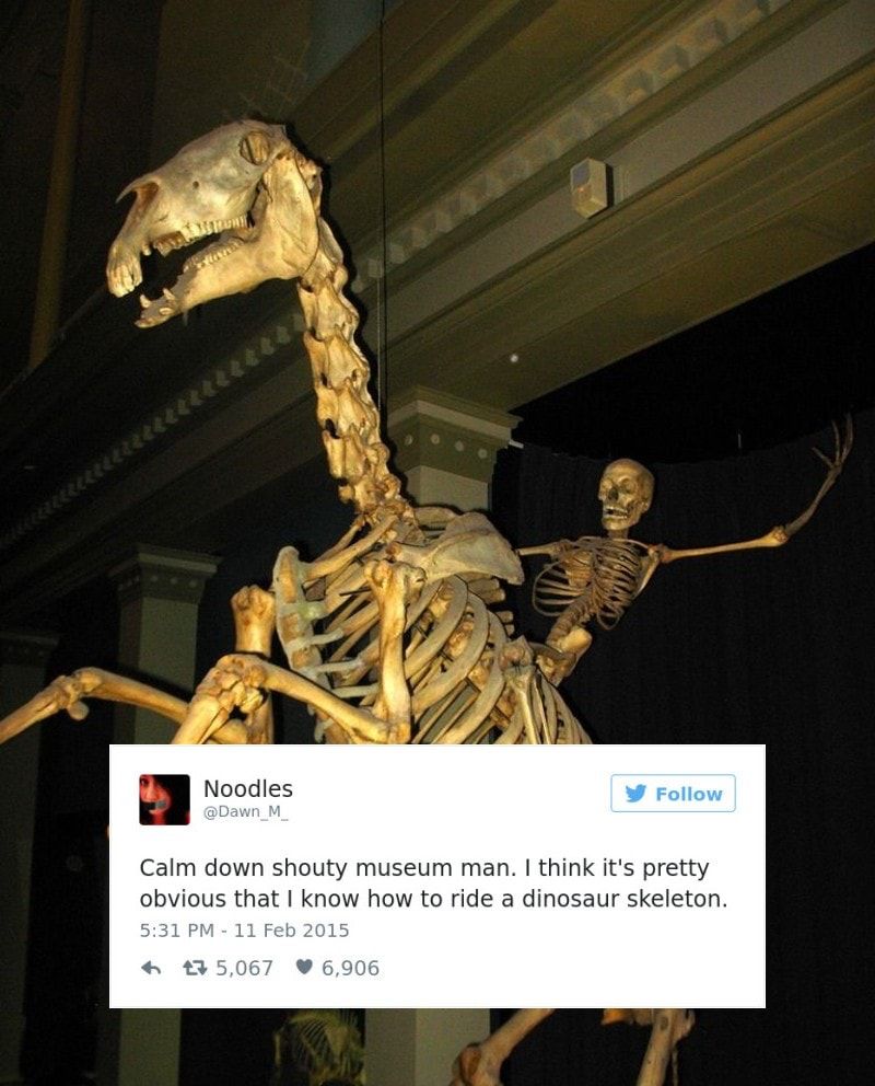 A tweet from the delightful Noodles, of a skeleton on a dinosaur with the caption, “calm down, shouty museum man. I think it’s pretty clear that I know how to ride a dinosaur skeleton” 