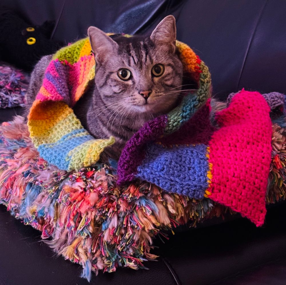 Stripy grey cat on a multicolour fluffy cushion - he’s wrapped in a crocheted scarf of many colours